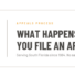 Banner reading What Happens After You File an Appeal, from Florida Property Tax Service